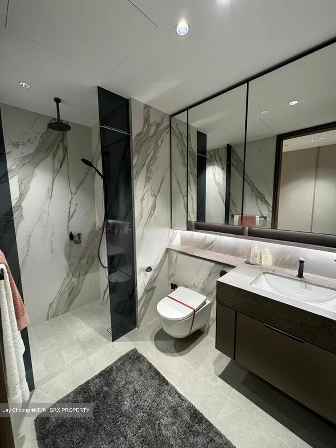 Zion Road (D3), Condominium #468965511